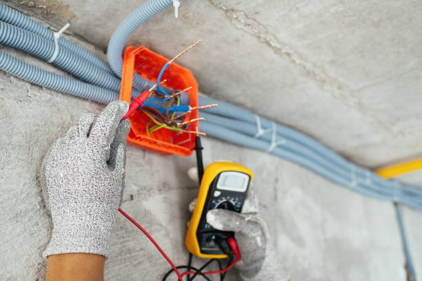 Best Ceiling Fan Installation Electrician  in Harmony Grove, CA